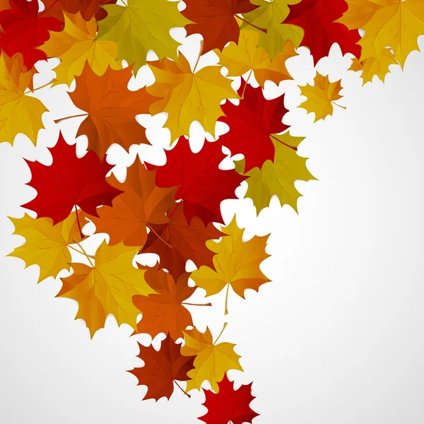 Pozadí abstraktní s podzimní barevné listí. — Stockový vektor