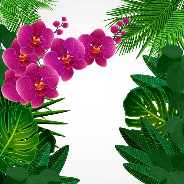 Hintergrund florales Design. Orchideenblüten. — Stockvektor