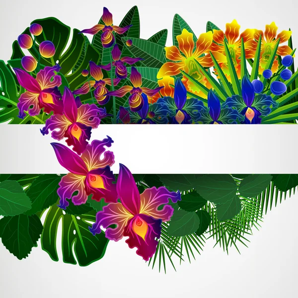 Tropical flowers and leaves. Floral design background. — Stock Vector