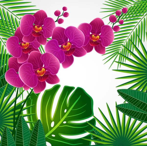 Fondo de diseño floral. Flores de orquídea . — Vector de stock