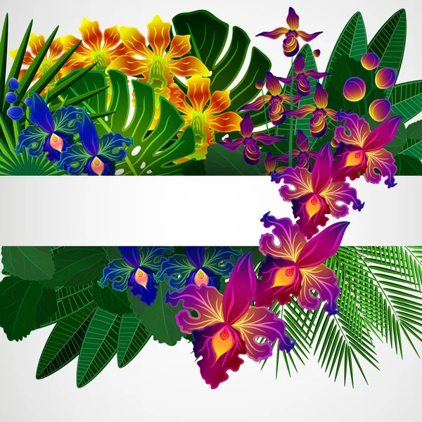 Fleurs et feuilles tropicales. Arrière-plan design floral . — Image vectorielle