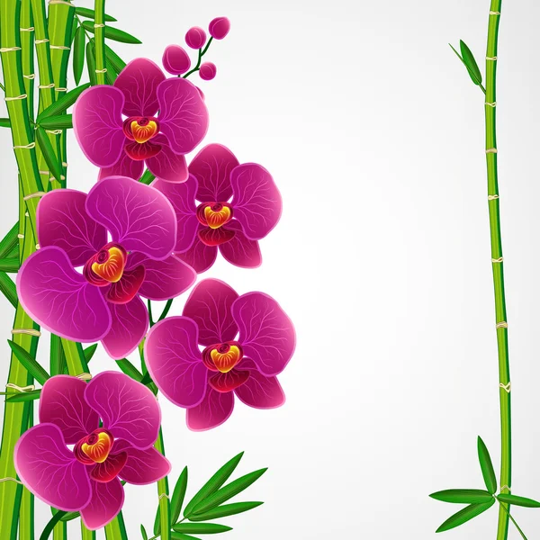 Eps10 Floral design background. Bamboo and orchids. — Stock Vector