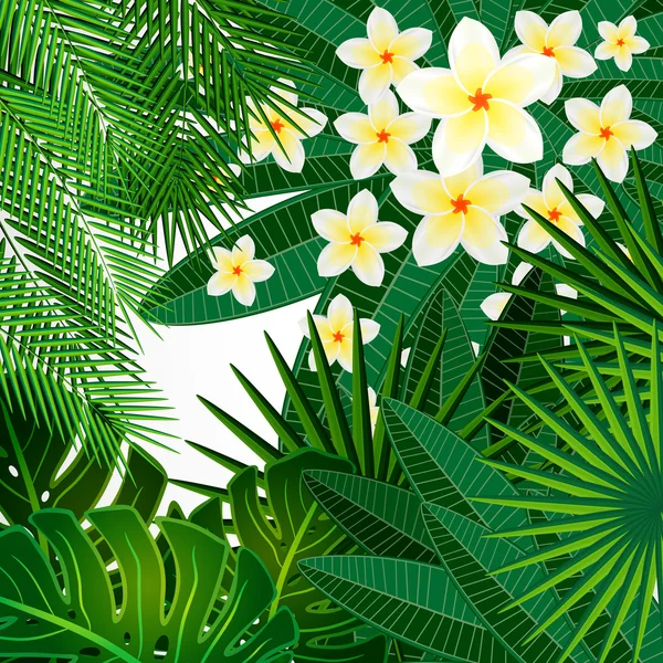 Eps10 花柄のデザインの背景。プルメリアの花、熱帯ル — ストックベクタ
