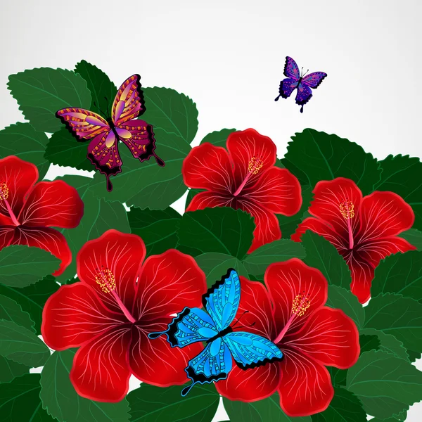 花柄のデザインの背景。蝶とハイビスカスの花. — ストックベクタ