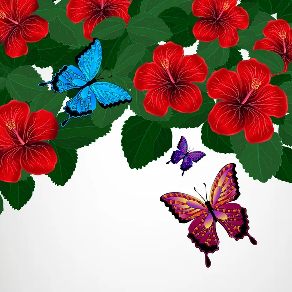 花柄のデザインの背景。蝶とハイビスカスの花. — ストックベクタ