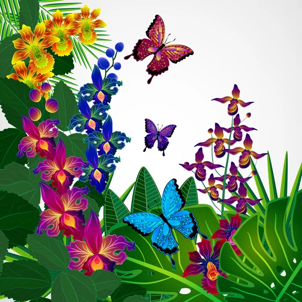 Fondo de diseño floral. Flores tropicales de orquídea, hojas y bu — Vector de stock