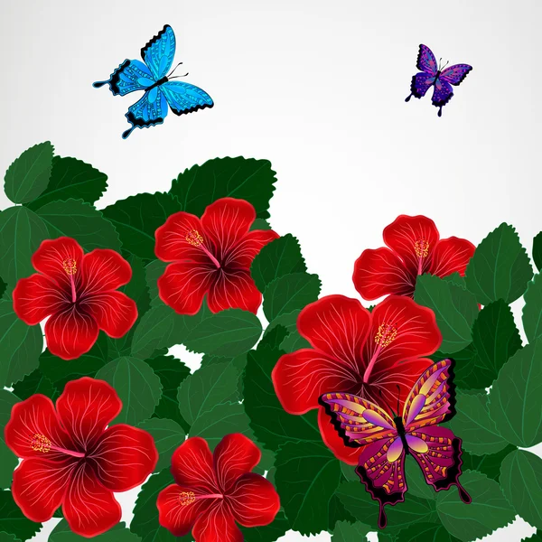 Fundo de design floral. Flores de hibisco com borboletas . — Vetor de Stock