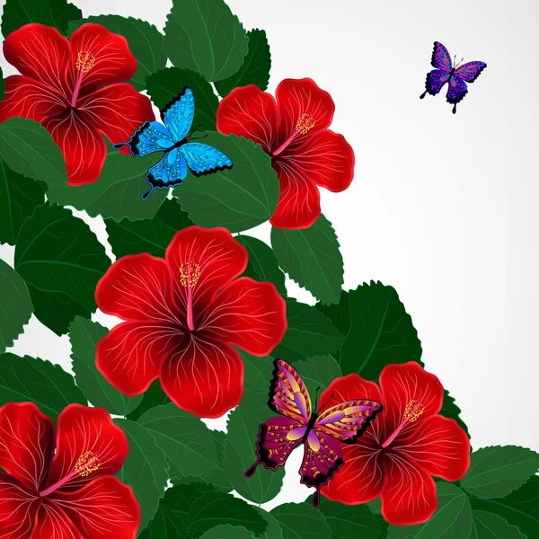Hintergrund florales Design. Hibiskusblüten mit Schmetterlingen. — Stockvektor