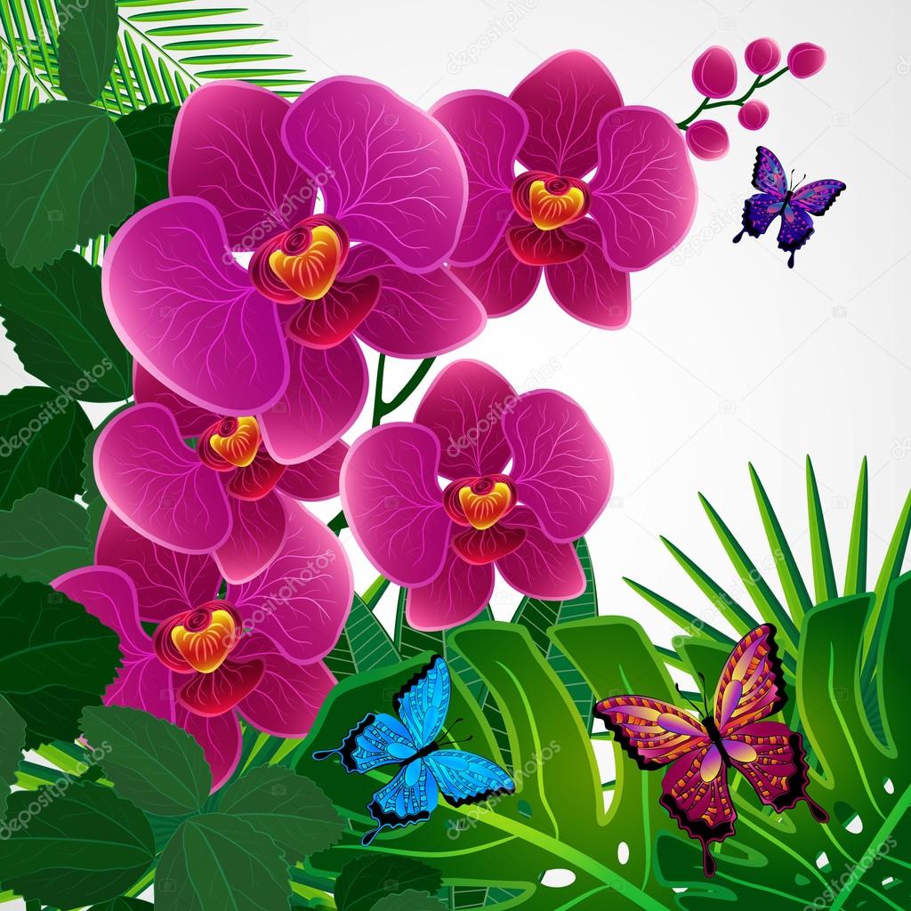 Floral design background. Orchid flowers with butterflies. Stock Vector