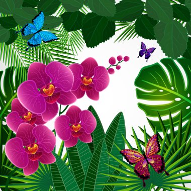 çiçek tasarım arka plan. Kelebekler ile orkide çiçekleri.