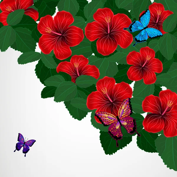 Sfondo disegno floreale. Fiori di ibisco con farfalle . — Vettoriale Stock