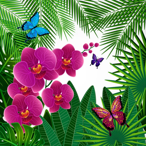 花柄のデザインの背景。蝶と蘭の花. — ストックベクタ