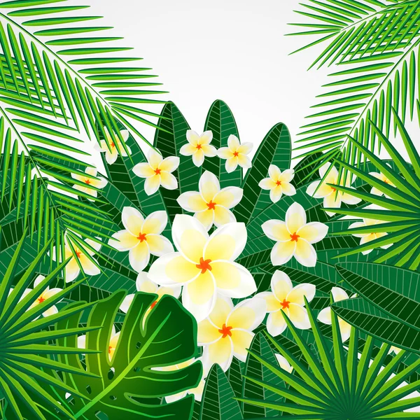 Eps10 Floral design background. Plumeria flowers and tropical le — Stock Vector