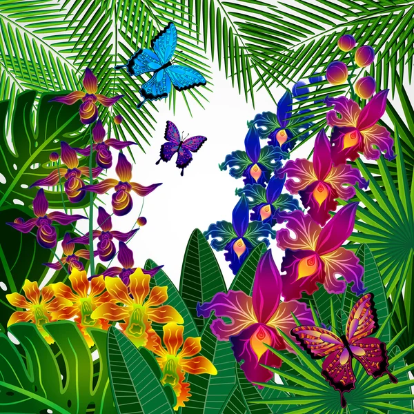 Fondo de diseño floral. Flores tropicales de orquídea, hojas y bu — Vector de stock