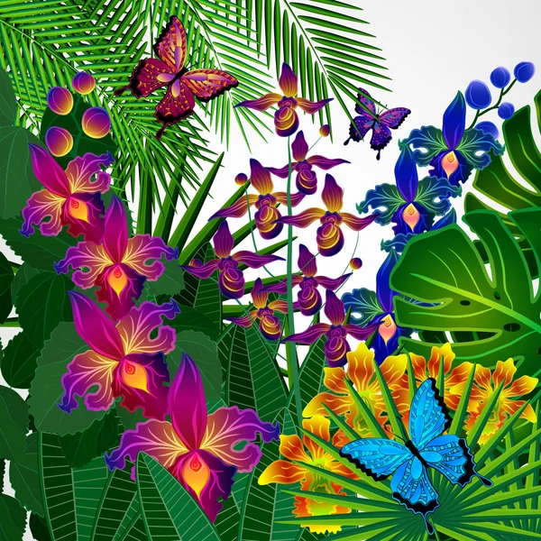 Fondo de diseño floral. Flores tropicales de orquídea, hojas y bu — Vector de stock
