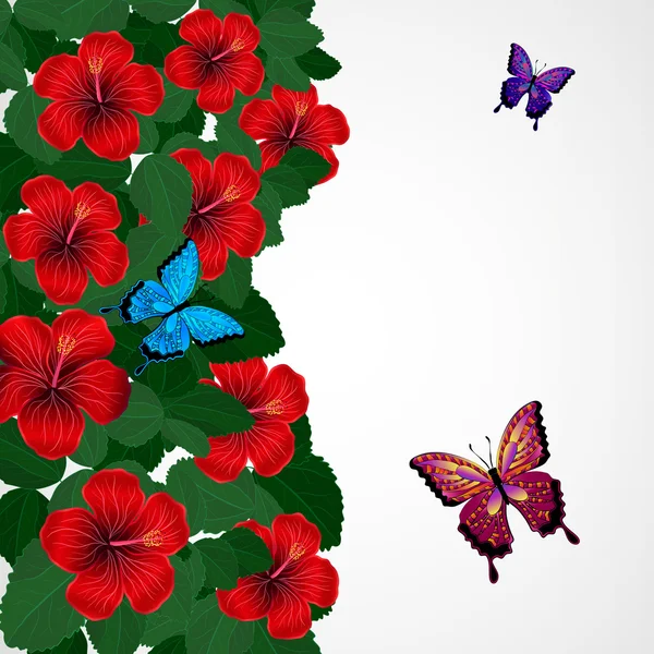 Fondo de diseño floral. Flores de hibisco con mariposas . — Vector de stock