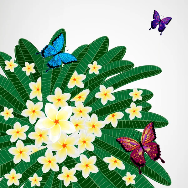 Eps10 Fundo de design floral. Plumeria flores com borboleta — Vetor de Stock