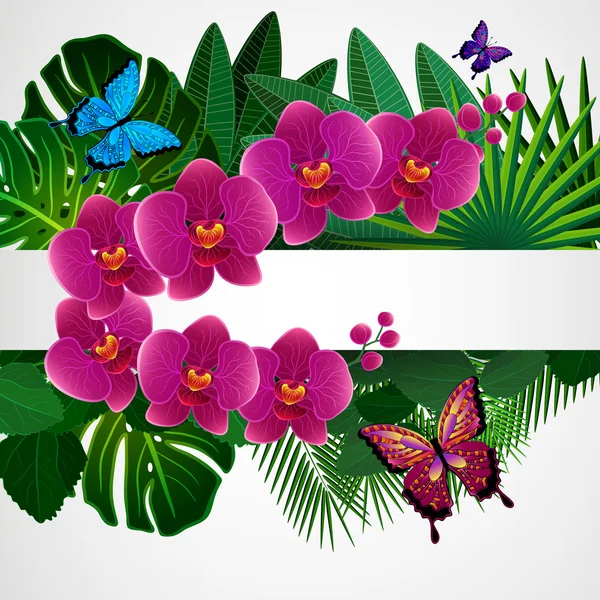 Fondo de diseño floral. Flores de orquídea con mariposas . — Vector de stock