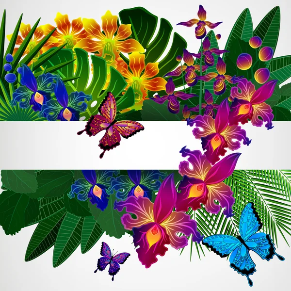 Fondo de diseño floral. Flores tropicales de orquídea, hojas y bu — Vector de stock