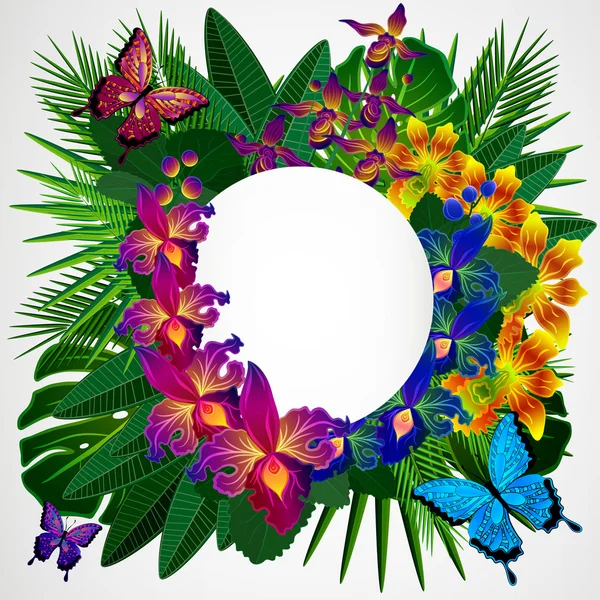 花艺设计背景。热带兰花花，叶和埠 — 图库矢量图片
