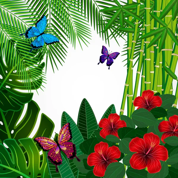 Tropical floral design background with butterflies. — Stock Vector