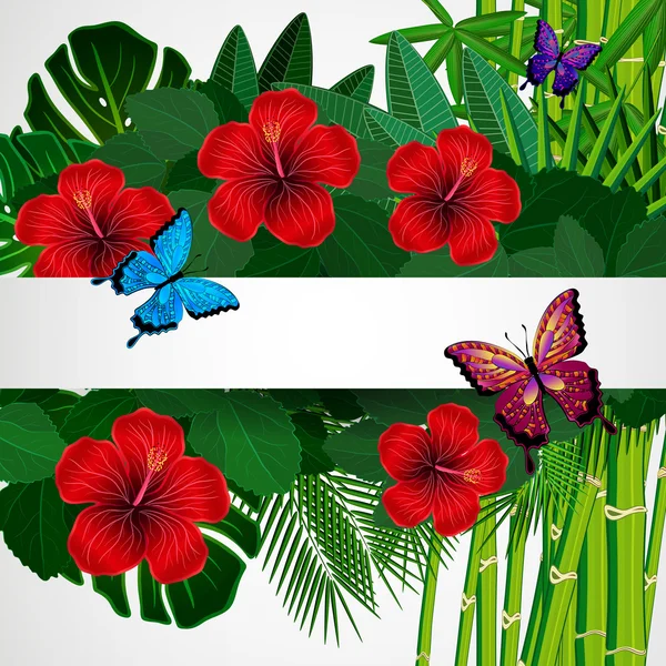 Tropical floral design background with butterflies. — Stock Vector