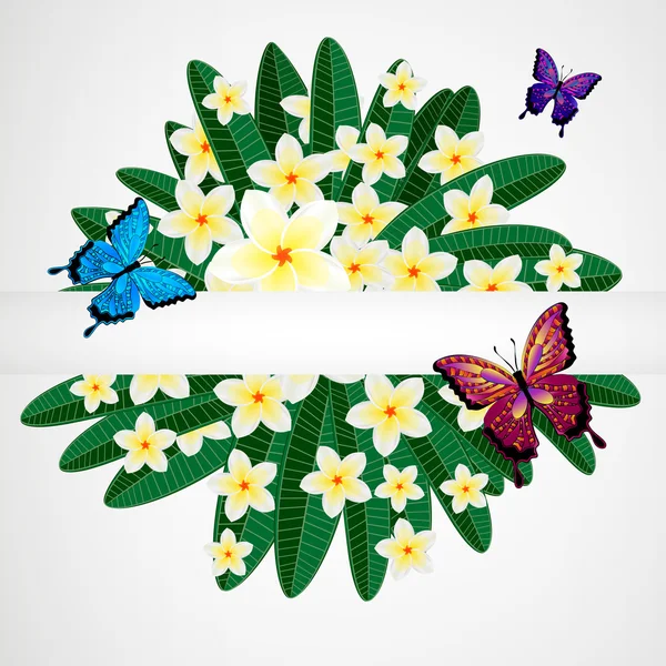 Eps10 花柄のデザインの背景。蝶とプルメリアの花 — ストックベクタ