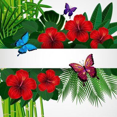 Kelebekler ile tropikal çiçek tasarım arka plan.
