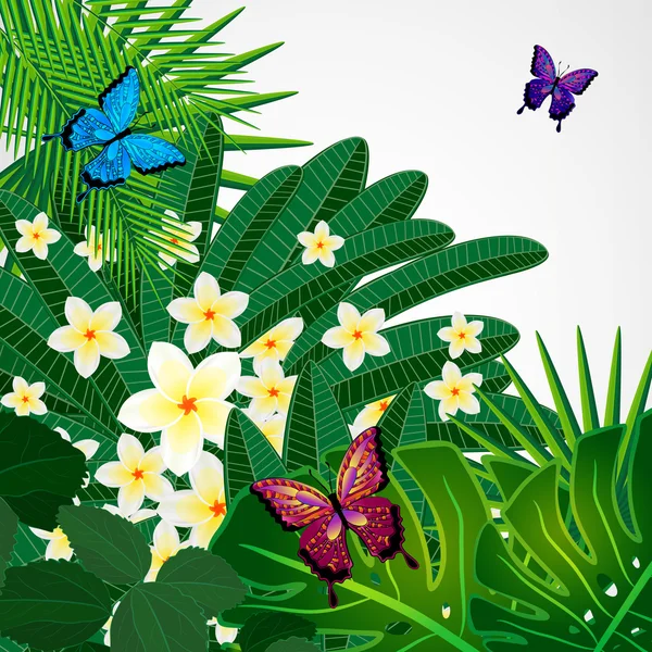 Fondo de diseño floral. Plumeria flores, hojas tropicales y — Vector de stock