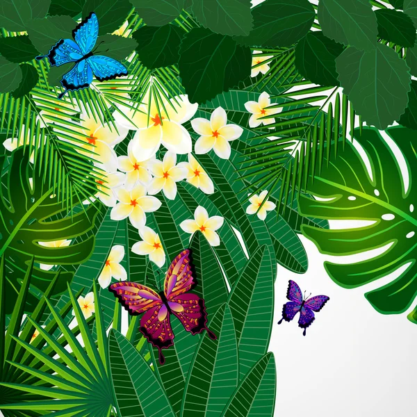 Fondo de diseño floral. Plumeria flores, hojas tropicales y — Archivo Imágenes Vectoriales