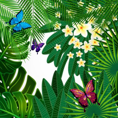 Çiçek tasarım arka plan. Plumeria çiçekler, tropikal bırakır ve 