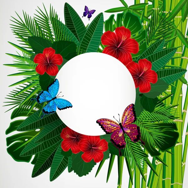 Tropical floral design background with butterflies. — Stock Vector