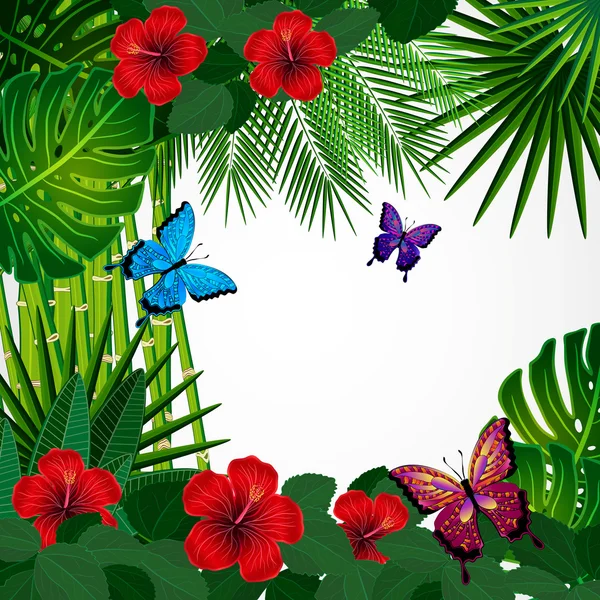 热带花卉设计背景与蝴蝶. — 图库矢量图片