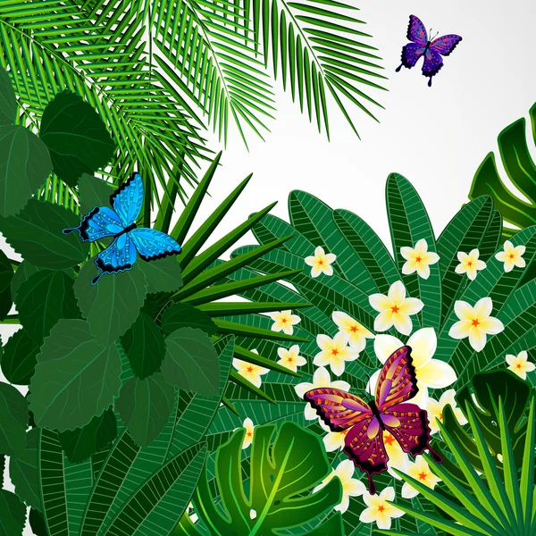 Fondo de diseño floral. Plumeria flores, hojas tropicales y — Vector de stock