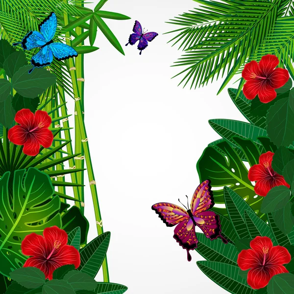 Fundal de design floral tropical cu fluturi . — Vector de stoc