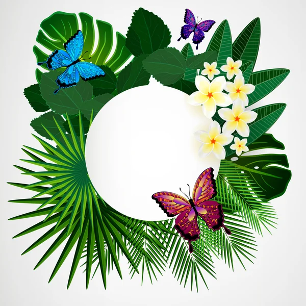 Arrière-plan design floral. Plumeria fleurs, feuilles tropicales et — Image vectorielle