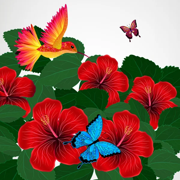 Hintergrund florales Design. Hibiskusblüten mit Vogel, Schmetterling — Stockvektor