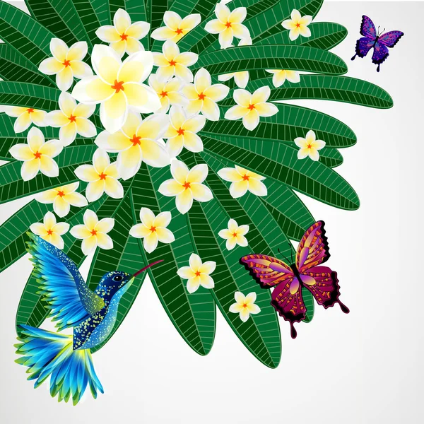 Fondo de diseño floral. Plumeria flores con pájaros, butterfli — Vector de stock
