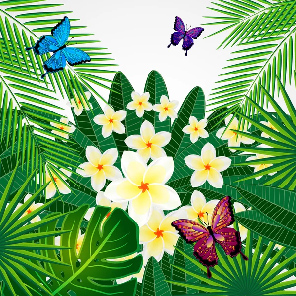 Hintergrund florales Design. plumeria Blumen, tropische Blätter und — Stockvektor