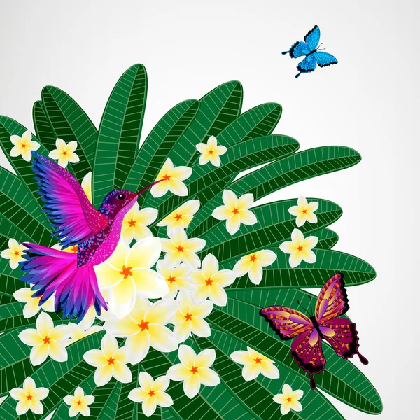 Hintergrund florales Design. Plumeria Blumen mit Vogel, Schmetterling — Stockvektor