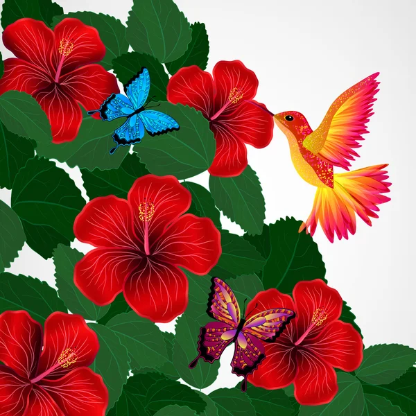 Floral design background. Hibiscus flowers with bird, butterflie — Stock Vector