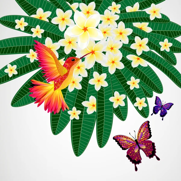 Fondo de diseño floral. Plumeria flores con pájaro, mariposa — Vector de stock