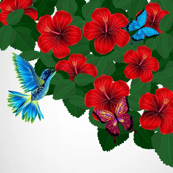 Bloemdessin achtergrond. Hibiscus bloemen met vogel, butterflie — Stockvector