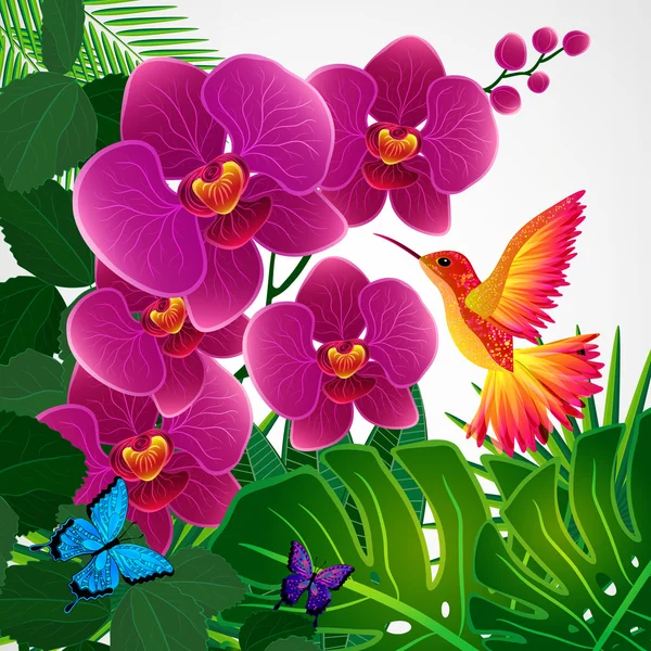 Floral design background. Orchid flowers with bird, butterflies. — Stock Vector