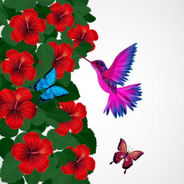 Çiçek tasarım arka plan. Hibiscus çiçek kuş, butterflie ile