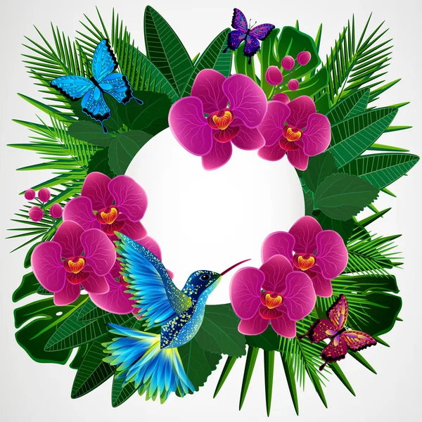 Fondo de diseño floral. Flores de orquídea con aves, mariposas . — Vector de stock