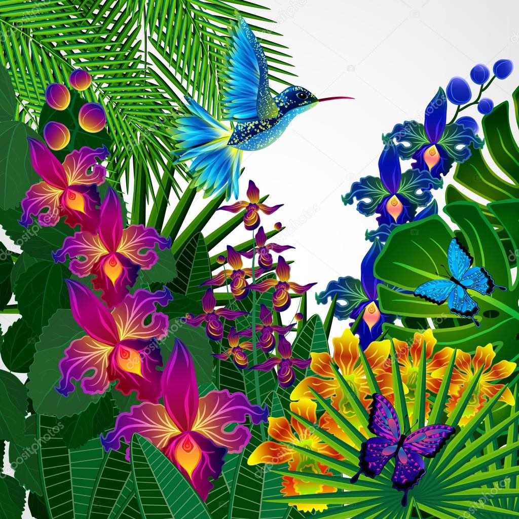 Floral design background. Tropical orchid flowers, birds and but