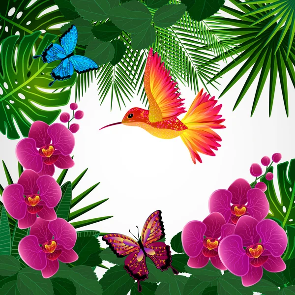 Hintergrund florales Design. Orchideenblumen mit Vogel, Schmetterlinge. — Stockvektor
