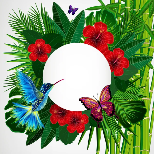 Sfondo di disegno floreale tropicale con uccello, farfalle . — Vettoriale Stock