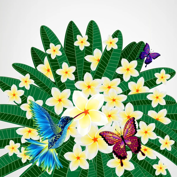 Fundo de design floral. Plumeria flores com pássaro, borboleta — Vetor de Stock